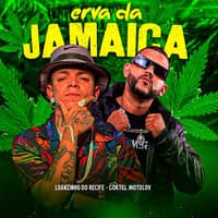 Erva da Jamaica