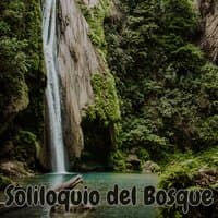 Soliloquio del Bosque