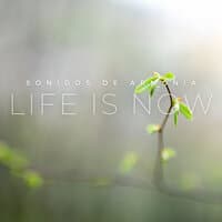 Life Is Now