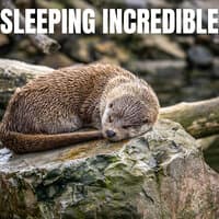 Sleeping Incredible