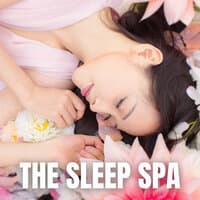 The Sleep Spa