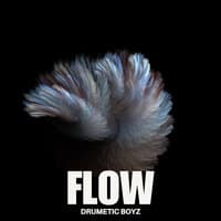 Flow