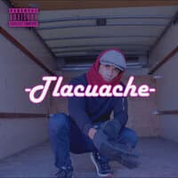 Tlacuache