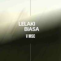 Lelaki Biasa