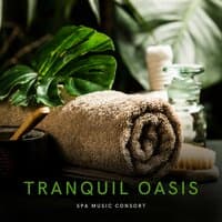 Tranquil Oasis: Peaceful Spa Music