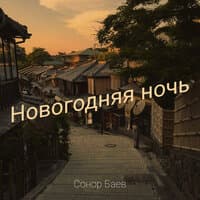 Новогодняя ночь