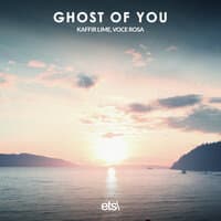 Ghost Of You