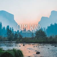 Calm Wind