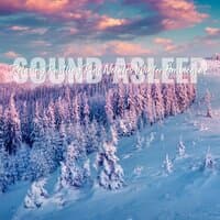 Sound Asleep: Relaxing Rustling Pine Needles Winter Ambience 2