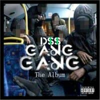 D$$Gang Gang: The Album