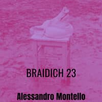 Braidich 23