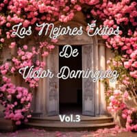 Los Mejores Éxitos de Víctor Domínguez, Vol. 4