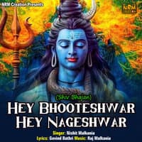 Hey Bhooteshwar Hey Nageshwar