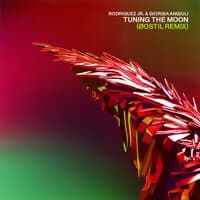 Tuning The Moon