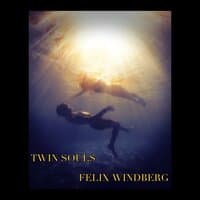 Twin Souls