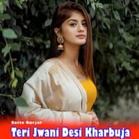 Teri Jwani Desi Kharbuja