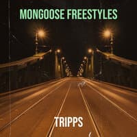 Mongoose Freestyles