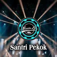 Santri Pekok