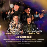 Mix Gaitero 2 : Cinco Negros / Grito de Gloria / La Gaita Buena Nunca Envejece / La Molienda / La Felicidad Me Llego De Paso / La Pintura / La Gaita Vieja del Saladillo / Ancestros / La Elegida