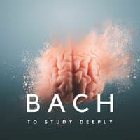 Bach To Study Deeply