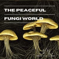 The Peaceful Fungi World