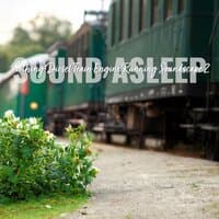 Sound Asleep: Soothing Diesel Train Engine Running Soundscape 2