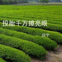 投胎千万擦亮眼