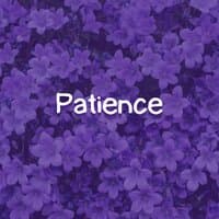 Patience