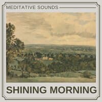 Shining Morning  2