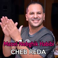 Mazel Nebghik Habibi