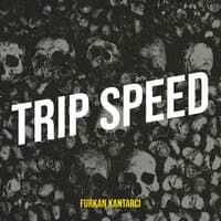 Trip Speed