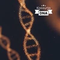 DNA