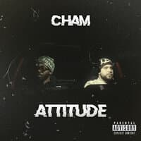 Attitude