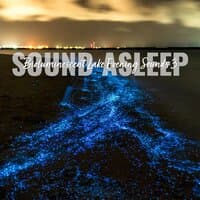 Sound Asleep: Bioluminescent Lake Evening Sounds 3