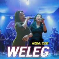 Weleg