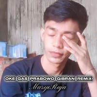 Oke Gas Prabowo Gibran