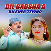 Dil Badsha A