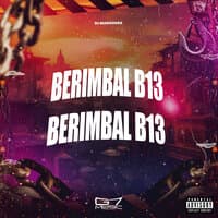 Berimbal B13