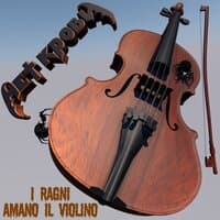 I ragni amano il violino