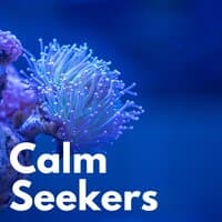 Calm Seekers, Vol. 2