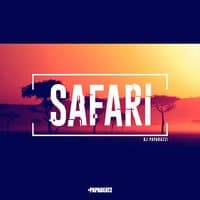 Safari