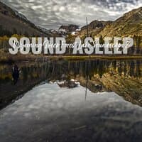 Sound Asleep: Wyoming Deep Forest Lake Soundscape 2