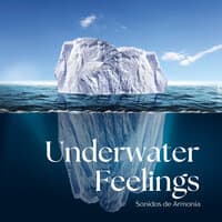 Underwater Feelings