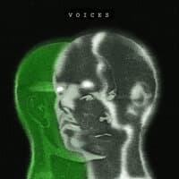 Voices