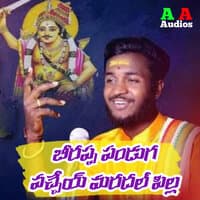 Birappa Panduga Vachey Mardal Pilla