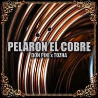 Pelaron el Cobre