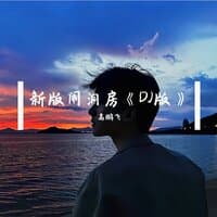 新版闹洞房DJ版