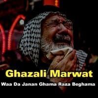 Waa Da Janan Ghama Raza Beghama