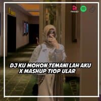 DJ Kumohon Temani Lah Aku -inst