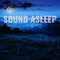 Sound Asleep: Moonlit Forest Lakeside Ambience 2